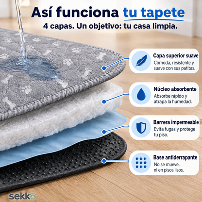 Tapete Entrenador con Feromonas