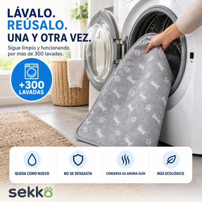 Tapete Entrenador con Feromonas